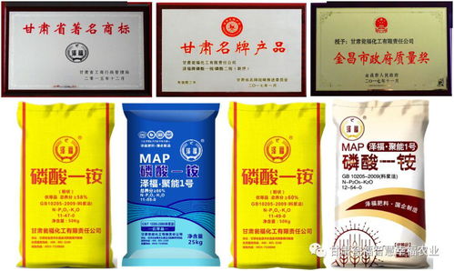 甘肅甕福一銨產(chǎn)銷(xiāo)兩旺 筑起高質(zhì)量發(fā)展亮麗風(fēng)景線